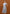 Isla Dress - Tulle Lace Fit & Flare Dress (Pre-Order)