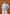 Kerly Outer - Floral Ombre Customize Print Outerwear (Pre-Order)