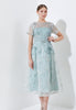 Carmiolane Dress - Peplum Waist Detail (Pre-order)