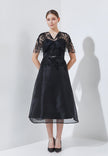 Raphelie Dress - Timeless Charm Meets Modern (Pre-order)